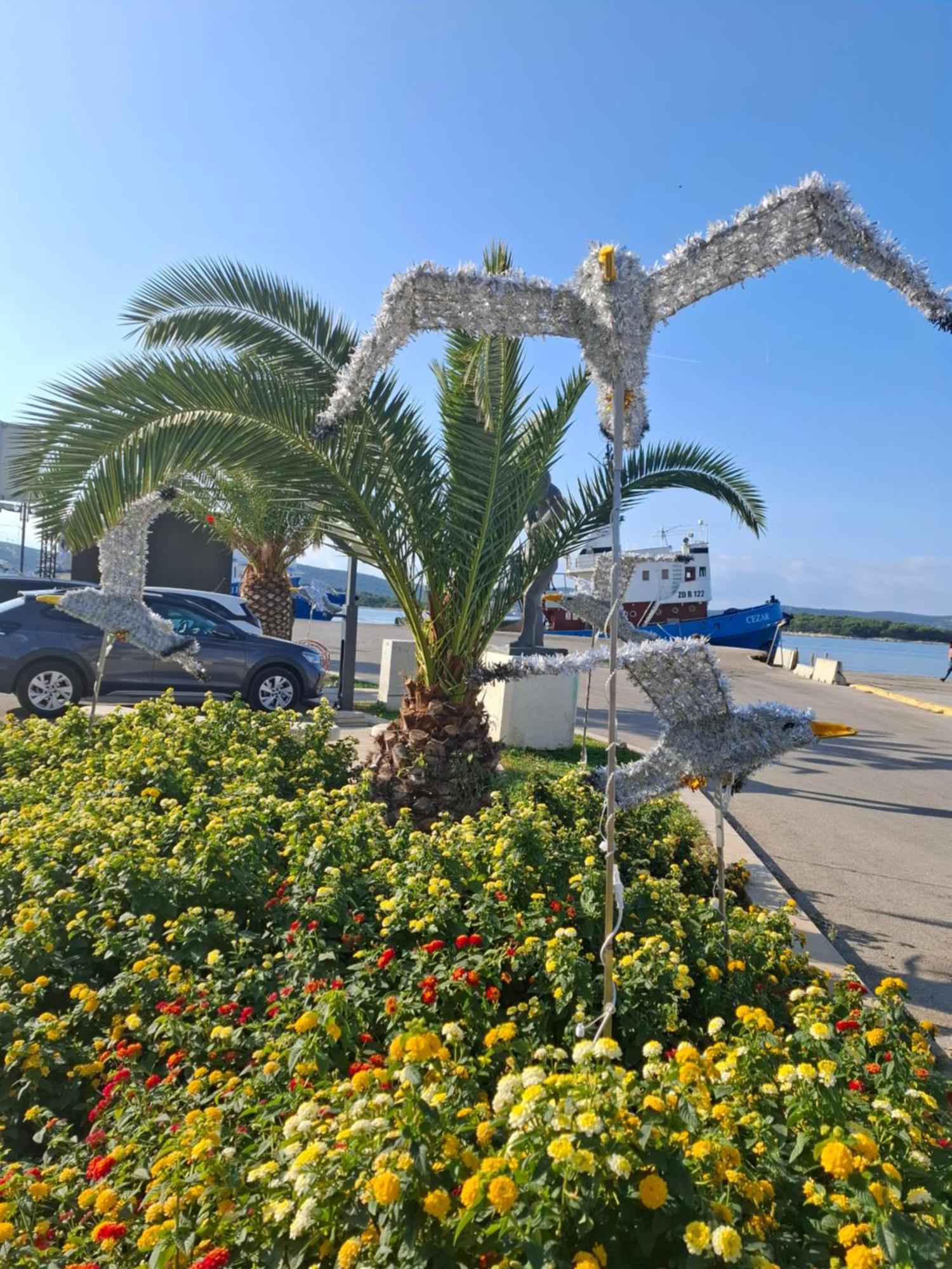 Apartmani Orhideja Gornji Karin Dış mekan fotoğraf